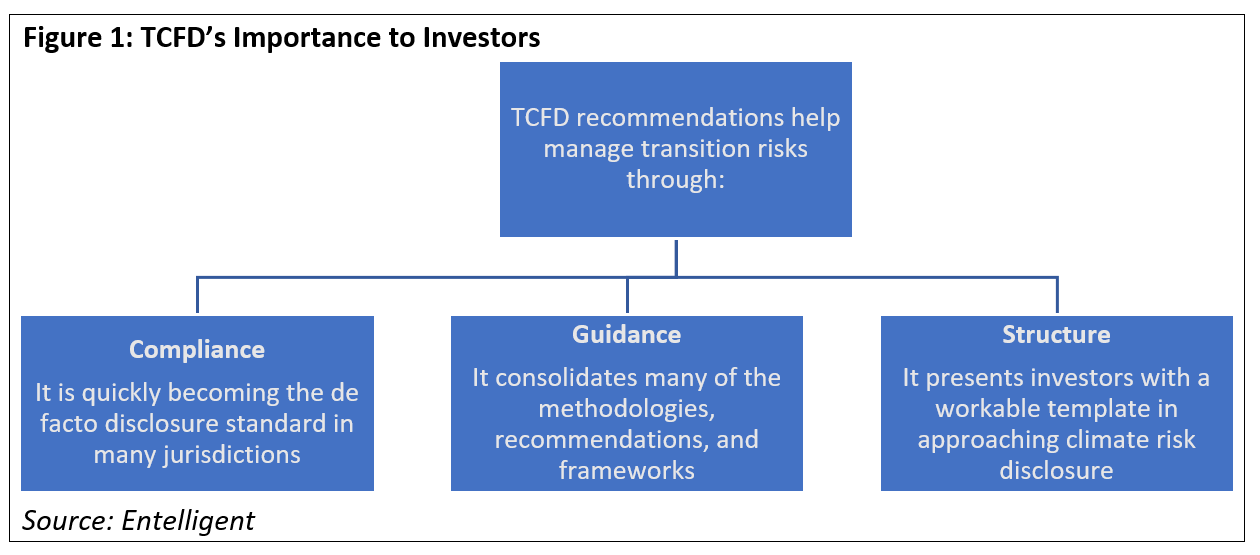 TCFDs Importance to Investors